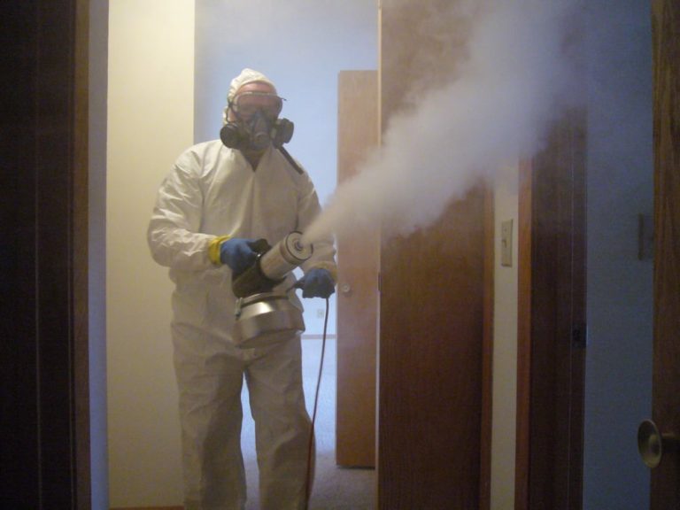 Professional Cigarette Smoke Odor Removal and Why Choose to Hire a